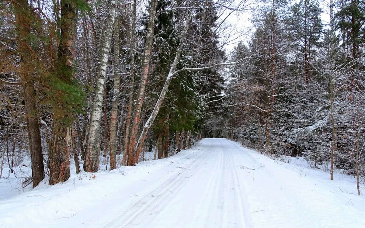 ��������� ���. ����� �������� �������� �� PhotoGeek.ru #������ ��� �������