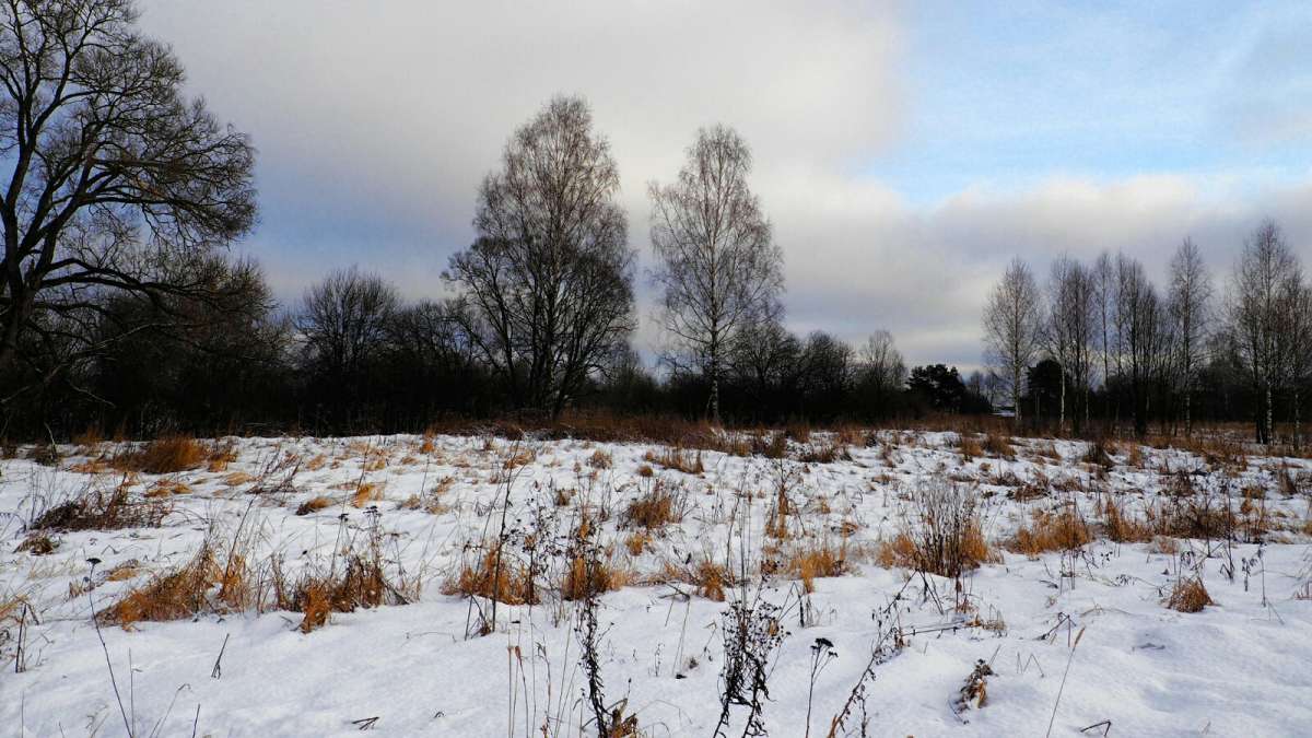 ������ ����� �������� �������� �� PhotoGeek.ru #������ ��� �������