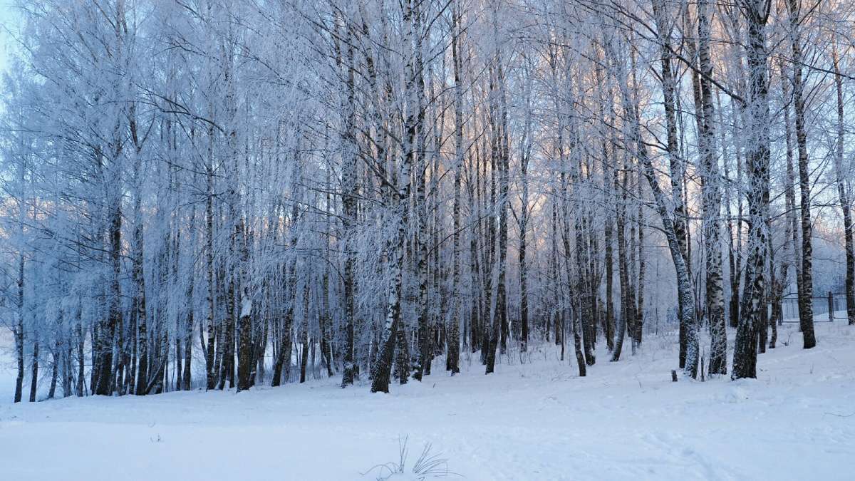 �������� ����. ����� �������� �������� �� PhotoGeek.ru #����� #������ ��� �������
