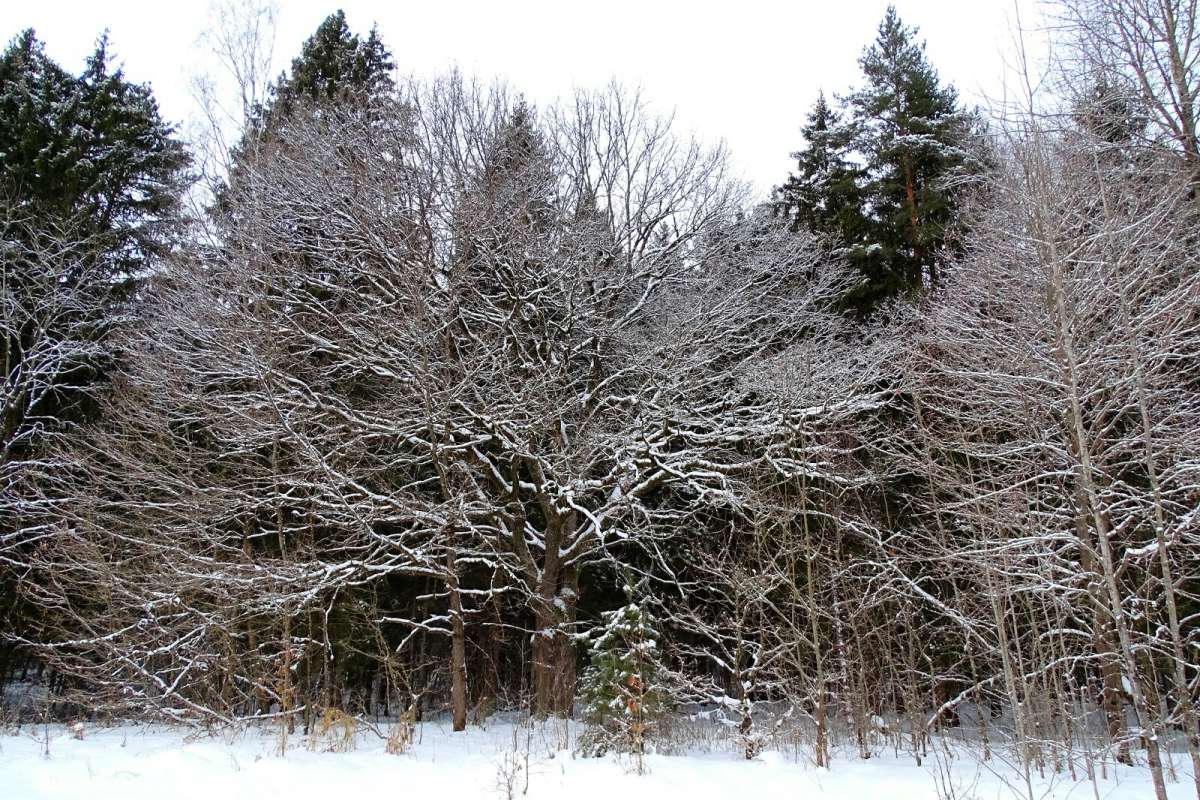 ������ �������. ����� �������� �������� �� PhotoGeek.ru #������ ��� �������