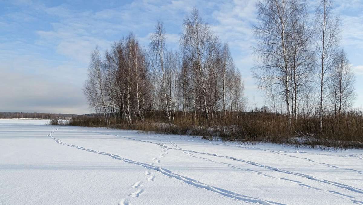 ���������� ����. ����� �������� �������� �� PhotoGeek.ru #������ ��� �������