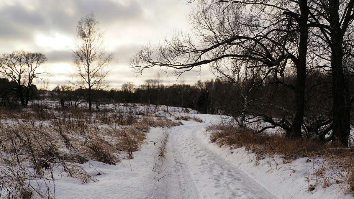 ��������� ���� ������. ����� �������� �������� �� PhotoGeek.ru #������ ��� �������