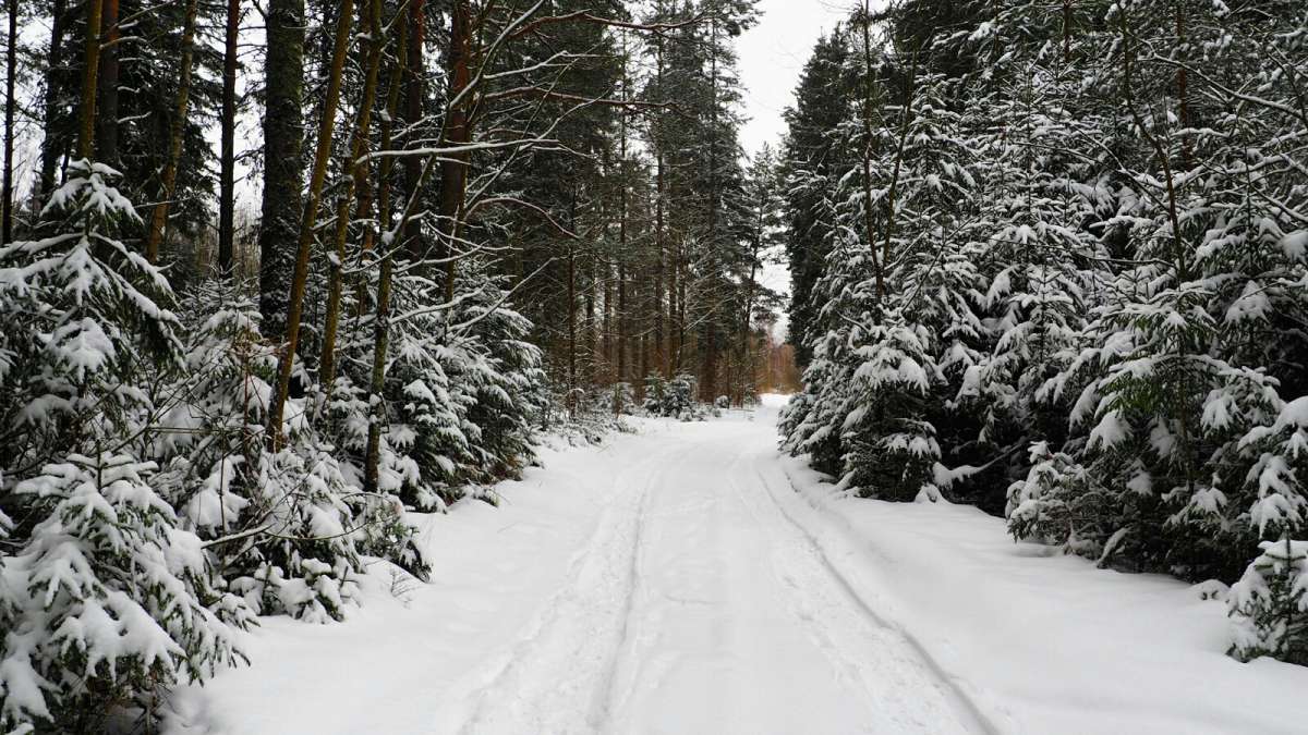 ��� �� ������ �����. ����� �������� �������� �� PhotoGeek.ru #������ ��� �������