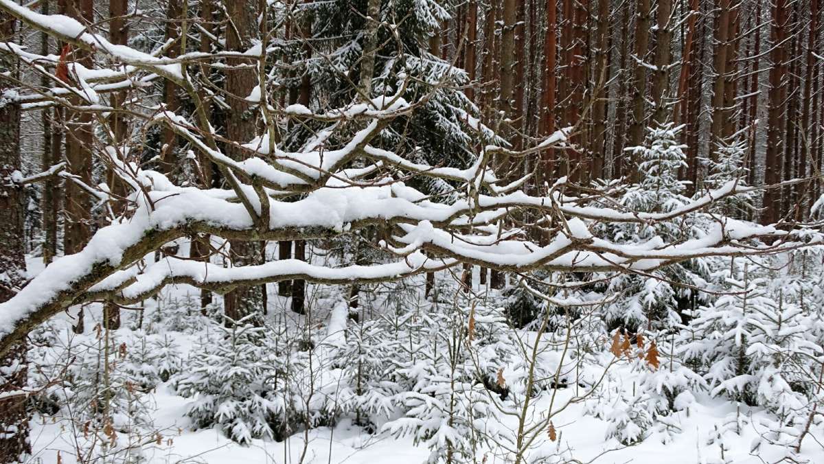 ���������� �������. ����� �������� �������� �� PhotoGeek.ru #������ ��� �������