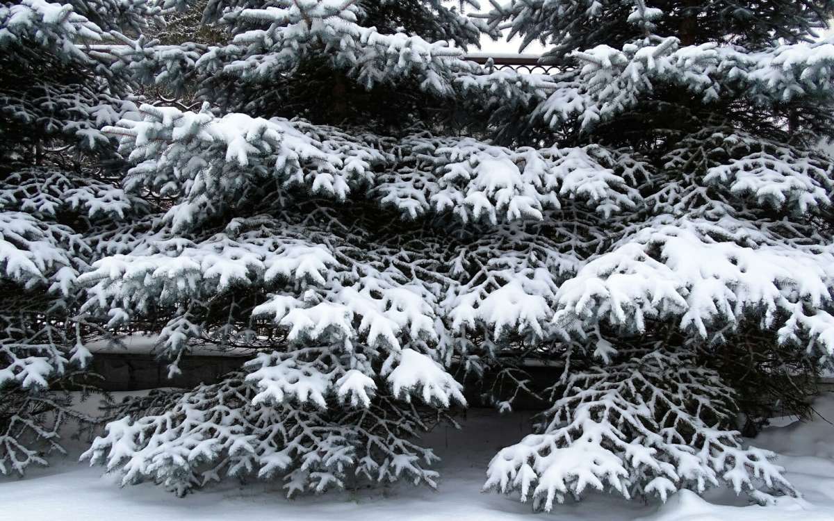 ������� �������� ������� ��� ����� �������� �������� �� PhotoGeek.ru #������ ��� �������