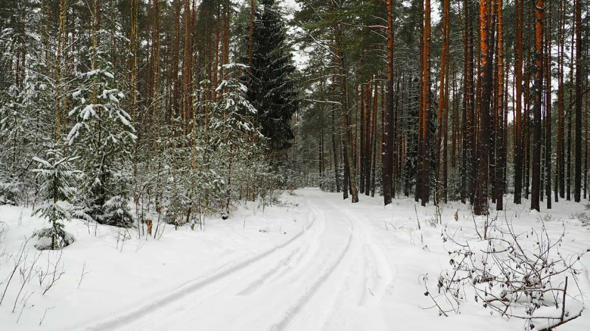 �������� ��� � ������. ����� �������� �������� �� PhotoGeek.ru #������ ��� �������