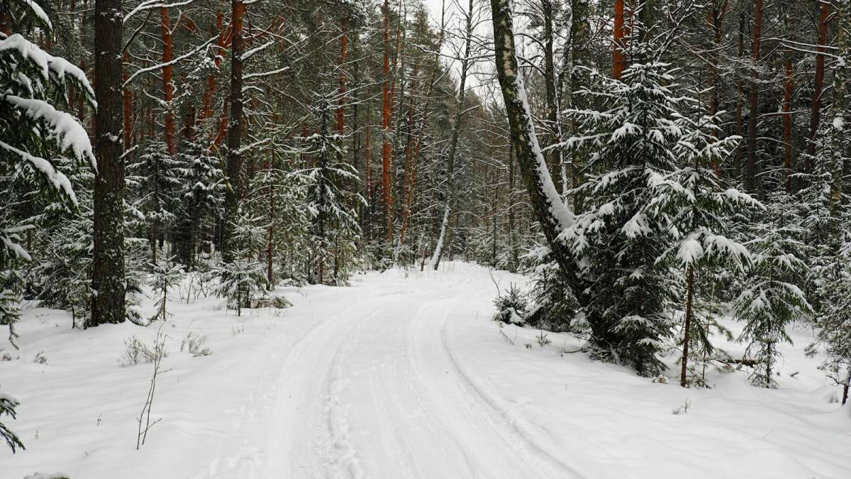 ���������� ���. ����� �������� �������� �� PhotoGeek.ru #������ ��� �������