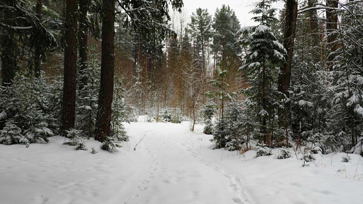 ���������� ���. ����� �������� �������� �� PhotoGeek.ru #������ ��� �������