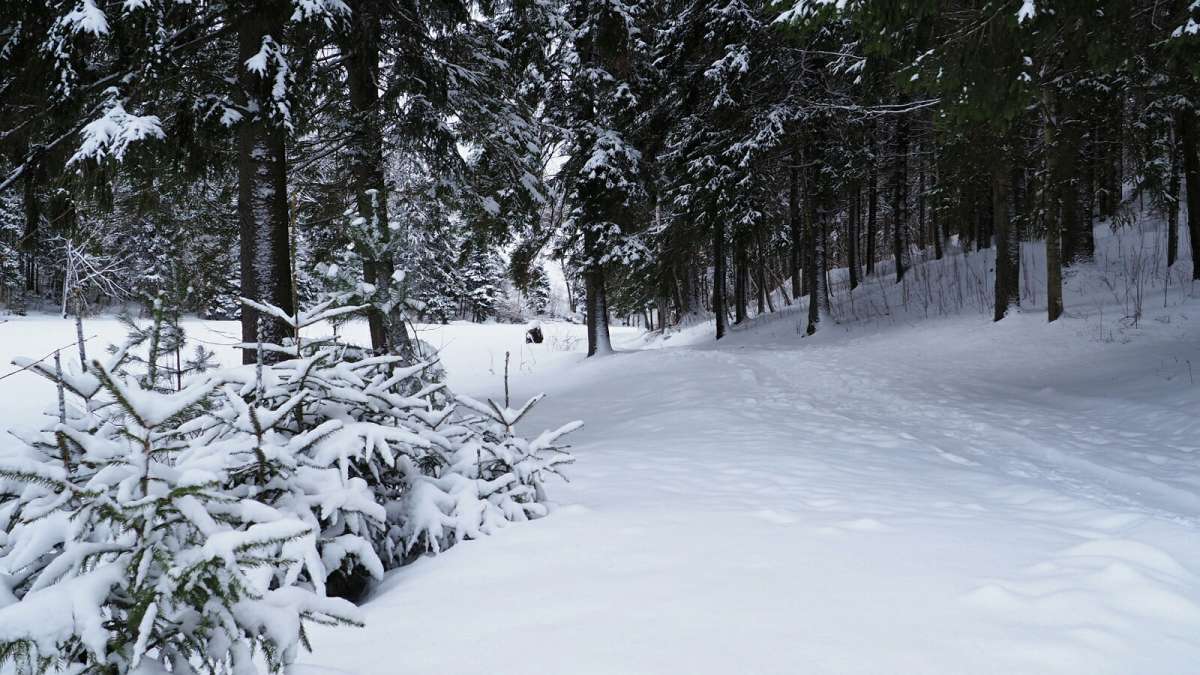 � ���� ���������. ����� �������� �������� �� PhotoGeek.ru #������ ��� �������