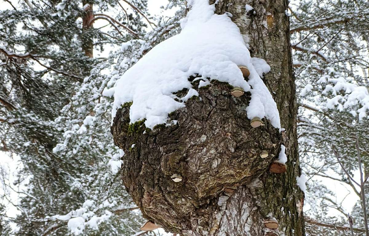 ������� �������. ����� �������� �������� �� PhotoGeek.ru #������ ��� �������