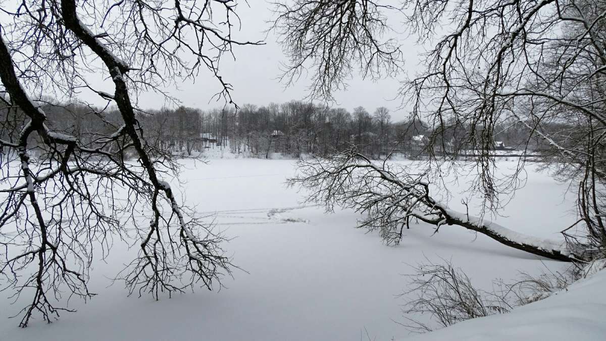 ������ �������. ����� �������� �������� �� PhotoGeek.ru #������ ��� �������