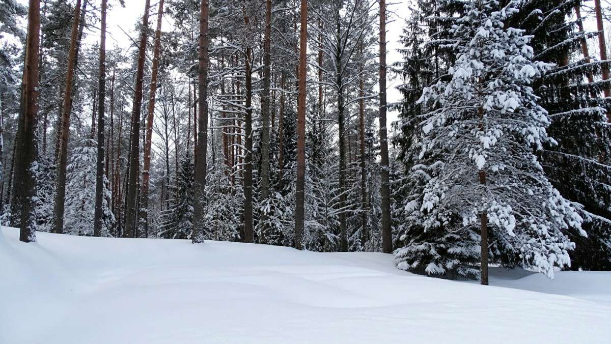 � �������� ���� ������. ����� �������� �������� �� PhotoGeek.ru #������ ��� �������