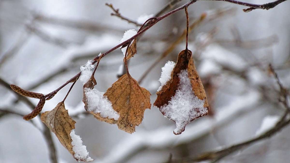 �������� ����. ����� �������� �������� �� PhotoGeek.ru #������ ��� �������