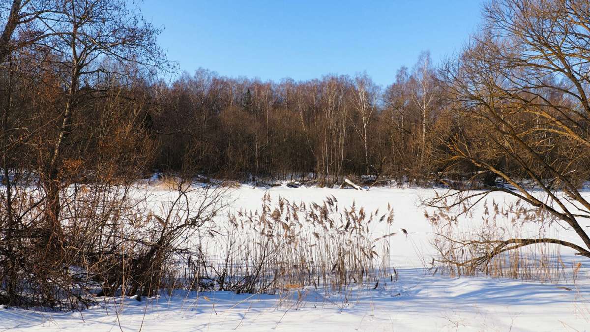 ������, ���� � ������. ����� �������� �������� �� PhotoGeek.ru #������ ��� �������