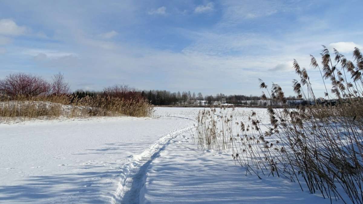 �� ������� ���� �� �������. ����� �������� �������� �� PhotoGeek.ru #������ ��� �������