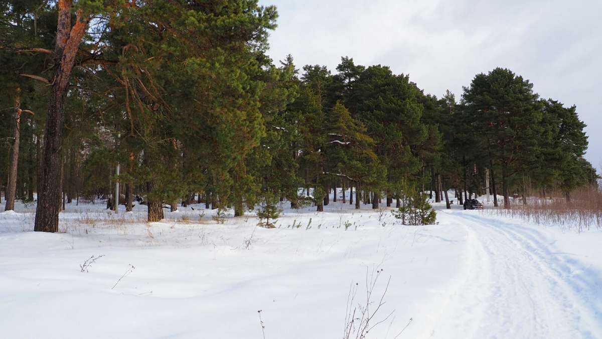 ��� ����������. ����� �������� �������� �� PhotoGeek.ru #������ ��� �������