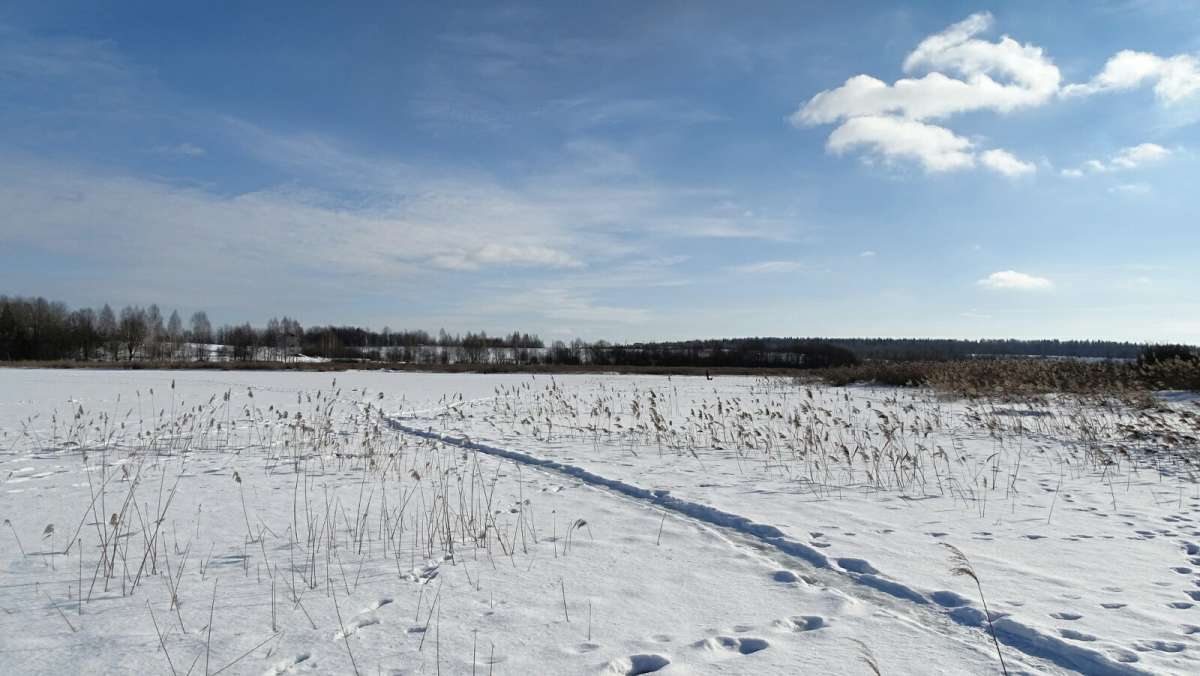 ����� ������ �������. ����� �������� �������� �� PhotoGeek.ru #������ ��� �������