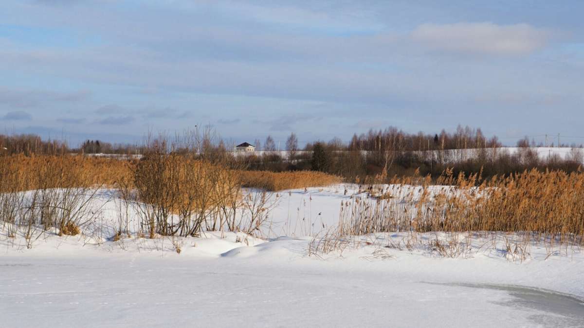 ��� �� ������. ����� �������� �������� �� PhotoGeek.ru #������ ��� �������