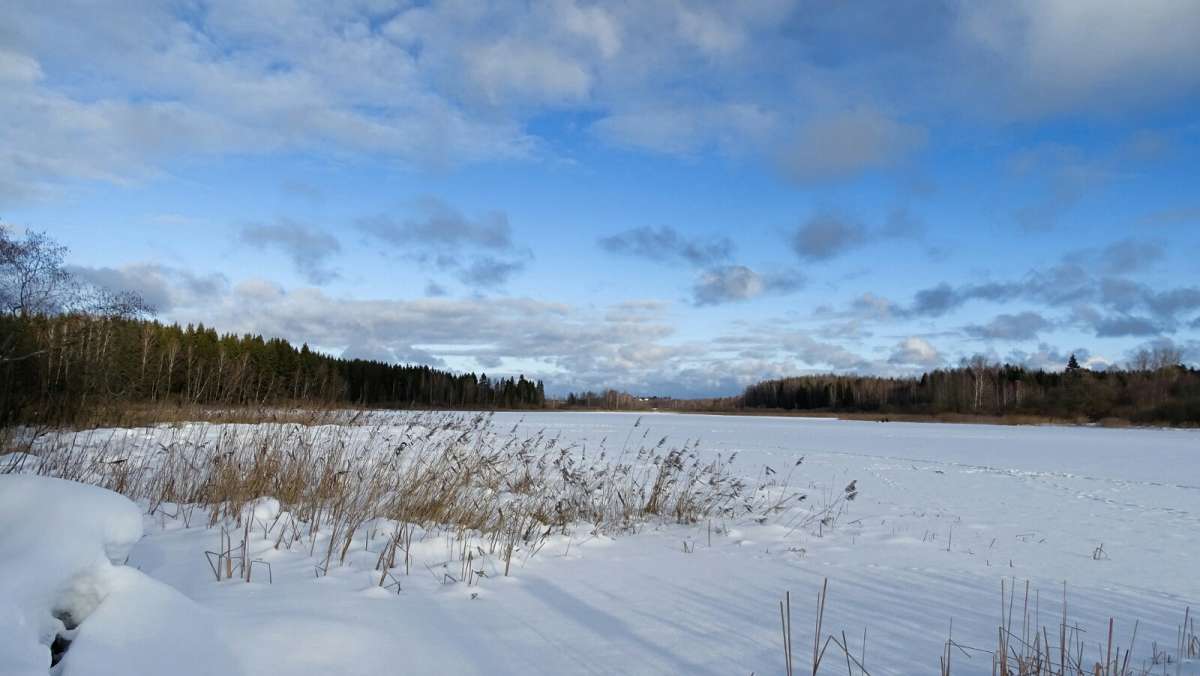 ������� �� ����������. ����� �������� �������� �� PhotoGeek.ru #������ ��� �������