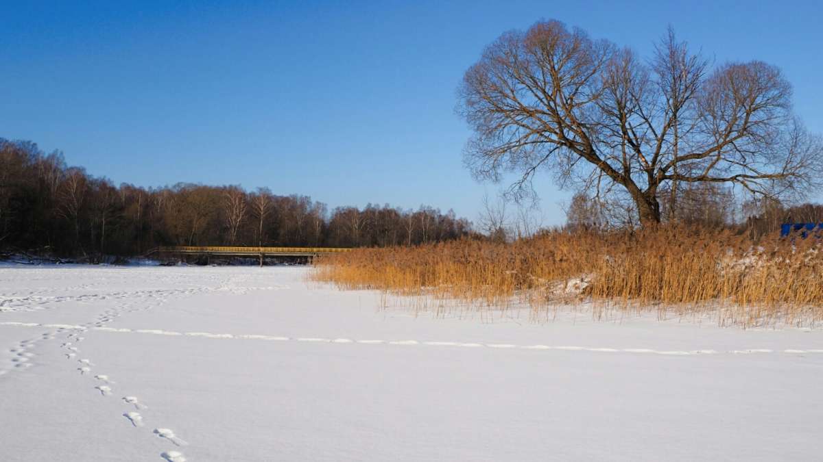 ������ ������. ����� �������� �������� �� PhotoGeek.ru #������ ��� �������