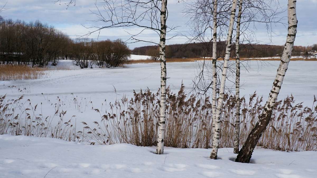 ��� ����������. ����� �������� �������� �� PhotoGeek.ru #������ ��� �������