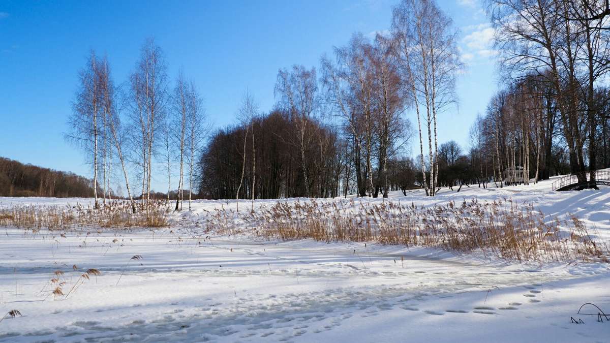 ���� - �������. ����� �������� �������� �� PhotoGeek.ru #������ ��� �������