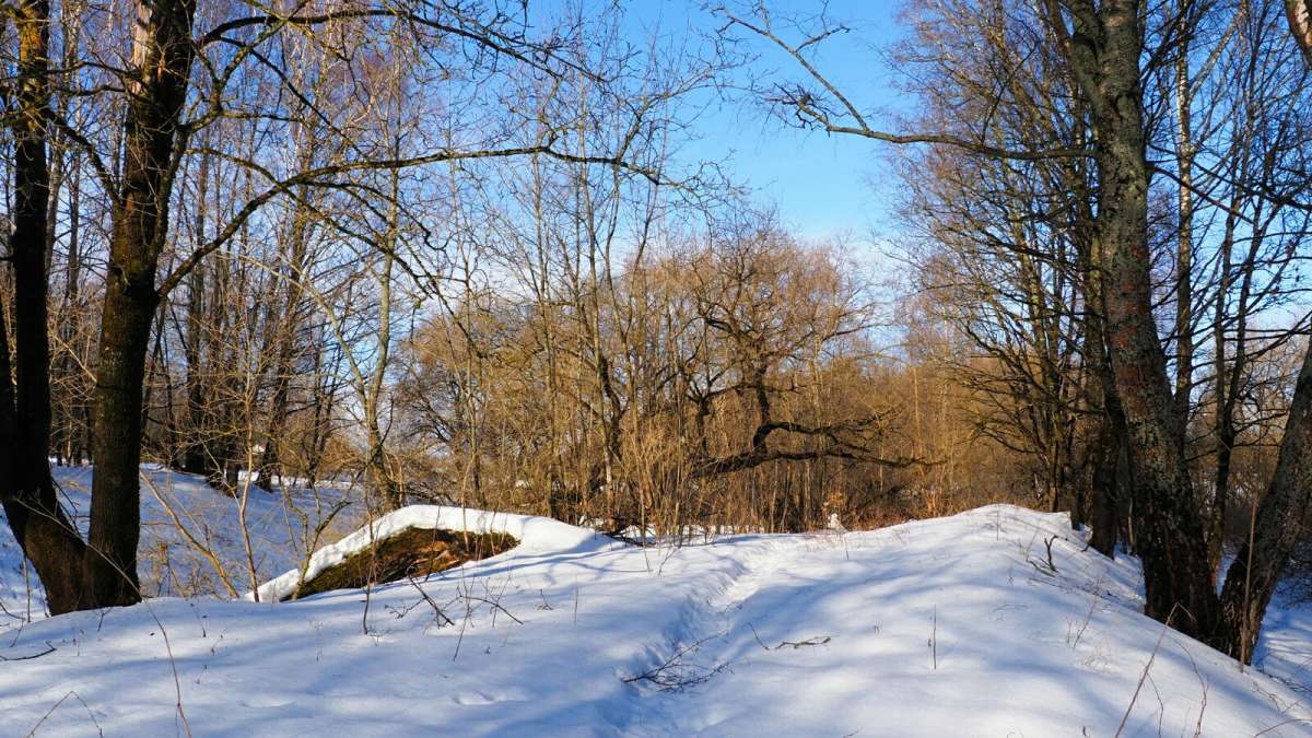 Ҹ���� �������. ����� �������� �������� �� PhotoGeek.ru #������ ��� �������