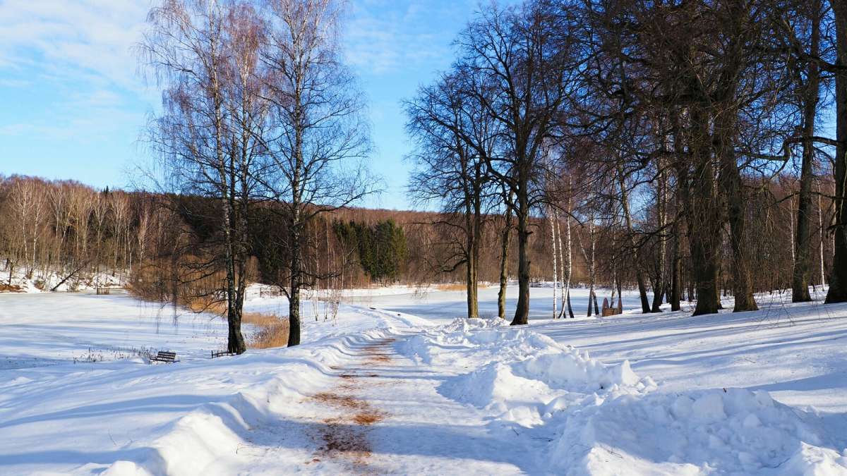 ������ ������. ����� �������� �������� �� PhotoGeek.ru #������ ��� �������