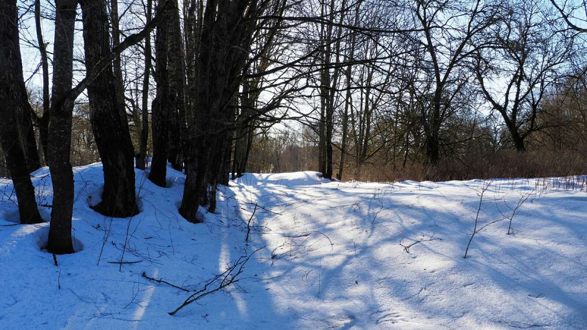 ���� � ����. ����� �������� �������� �� PhotoGeek.ru #������ ��� �������