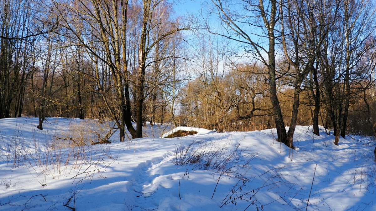 ������� � ����� ����. ����� �������� �������� �� PhotoGeek.ru #������ ��� �������