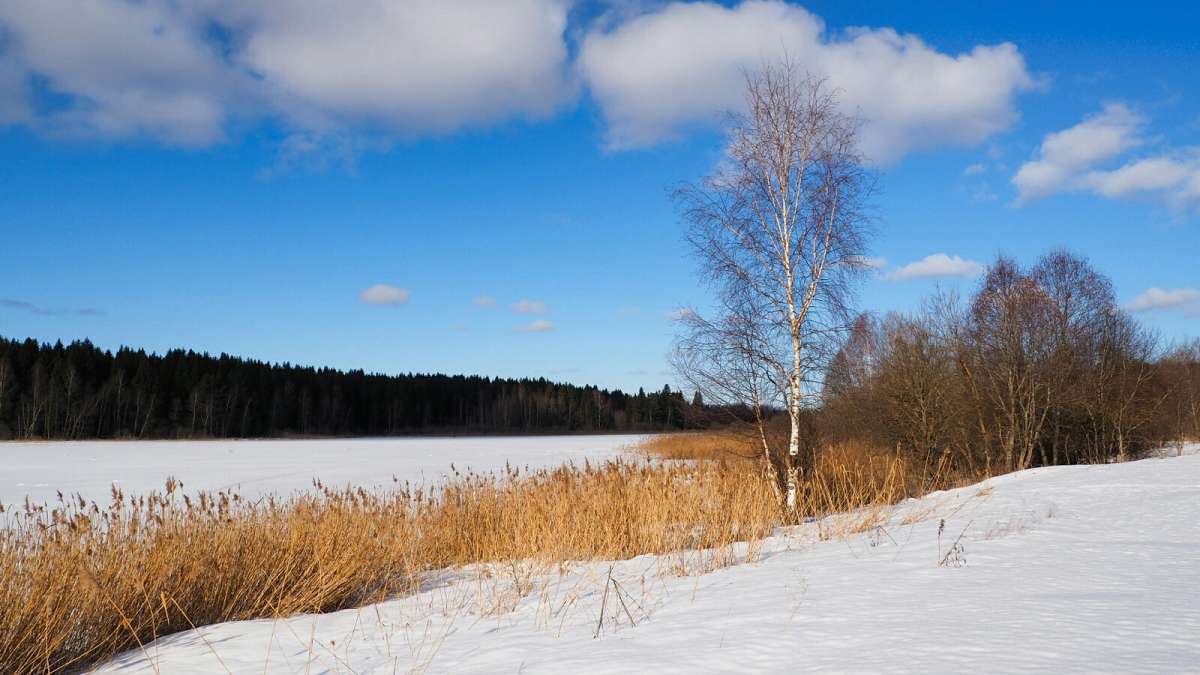 �������� ������. ����� �������� �������� �� PhotoGeek.ru #������ ��� �������