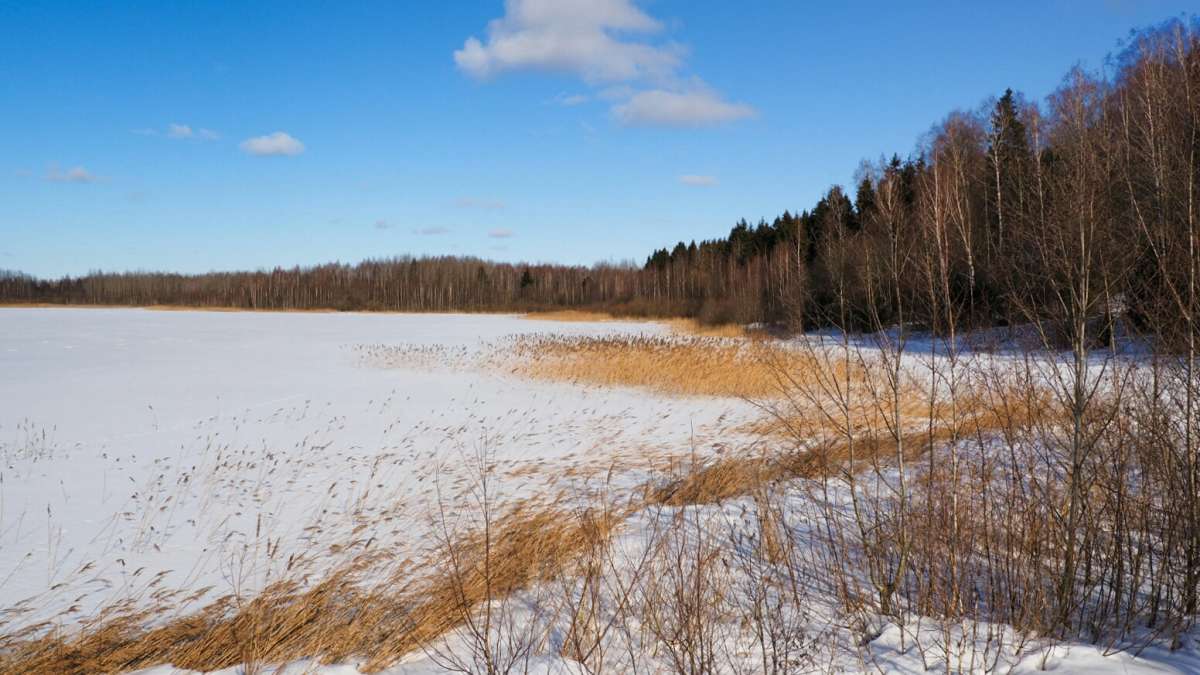 � ��������� ��� ����. ����� �������� �������� �� PhotoGeek.ru #������ ��� �������