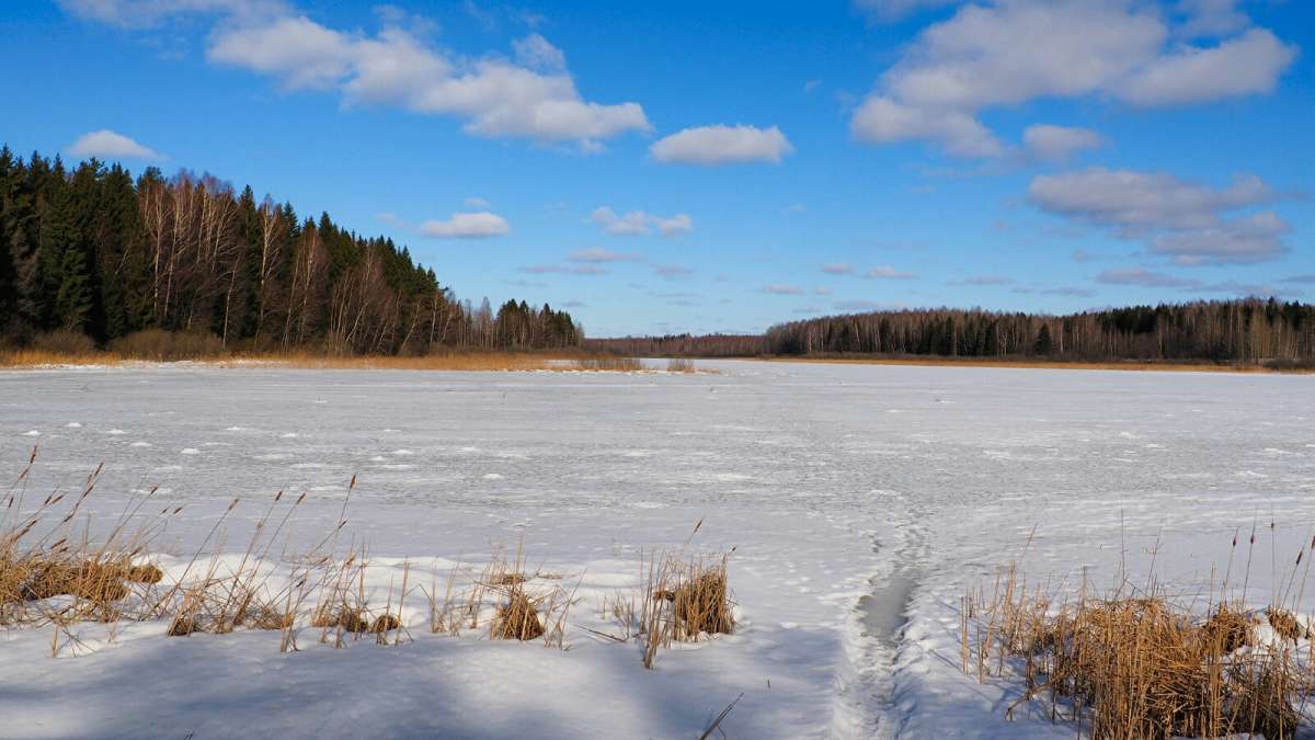 ���� ����������. ����� �������� �������� �� PhotoGeek.ru #������ ��� �������