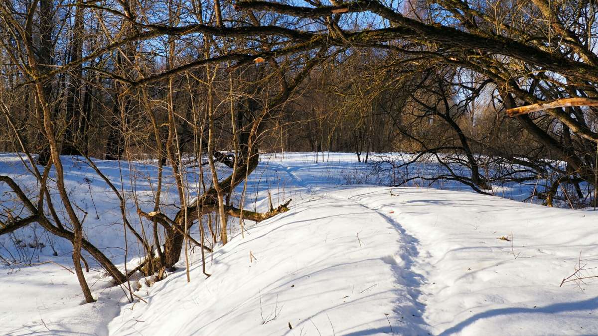 ����� �����. ����� �������� �������� �� PhotoGeek.ru #������ ��� �������