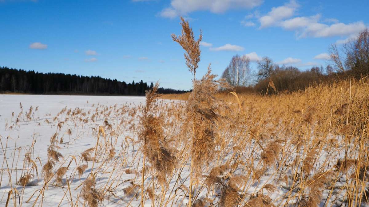 ������. ����� �������� �������� �� PhotoGeek.ru #������ ��� �������