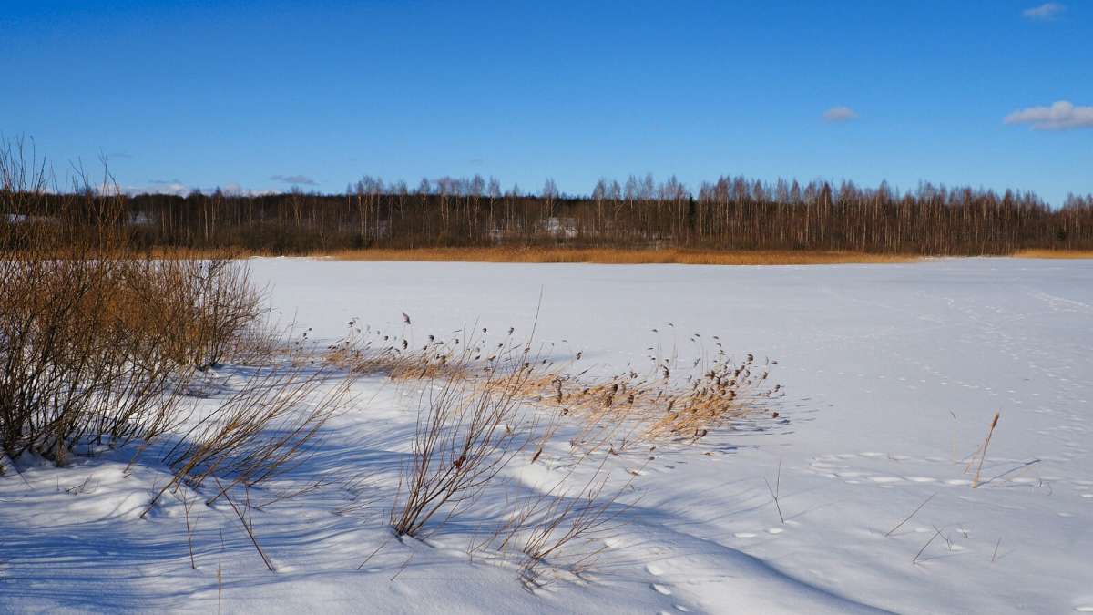 ���� ����������. ����� �������� �������� �� PhotoGeek.ru #������ ��� �������