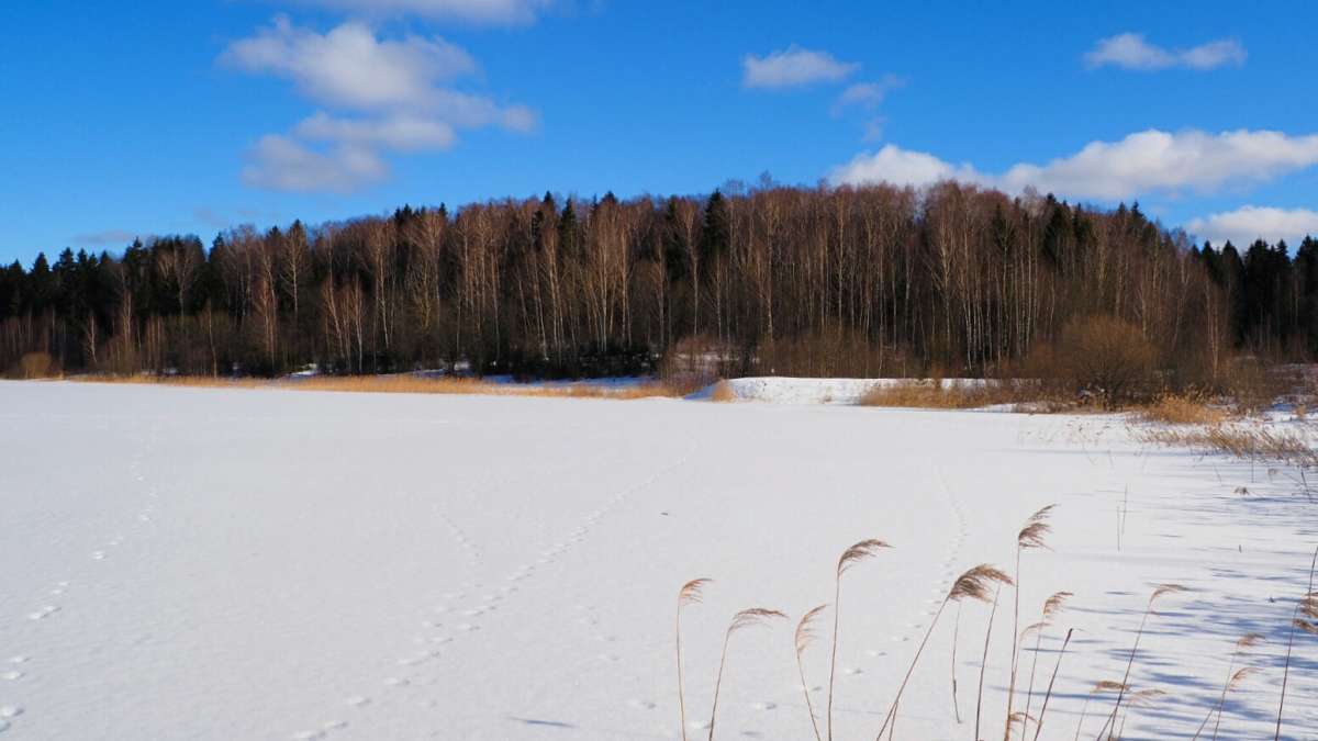 �� ������ ����. ����� �������� �������� �� PhotoGeek.ru #������ ��� �������