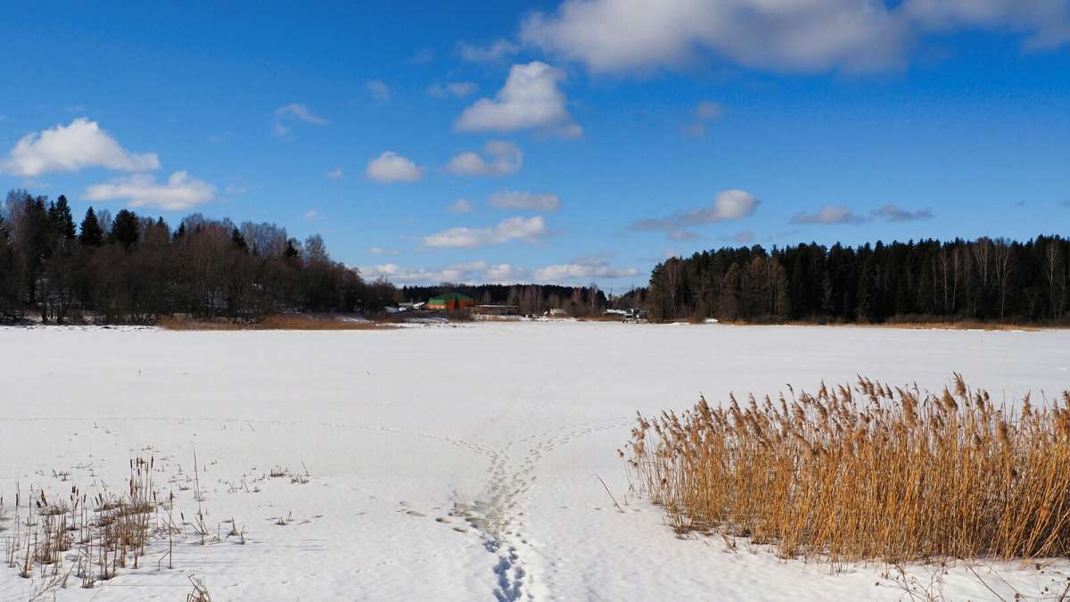 ��� ����� ������ �������. ����� �������� �������� �� PhotoGeek.ru #������ ��� �������