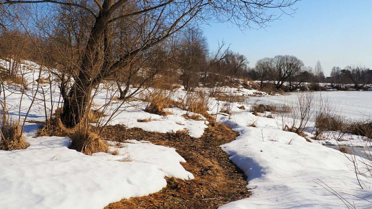 ��� 1-� ���� �����. ����� �������� �������� �� PhotoGeek.ru #������ ��� �������