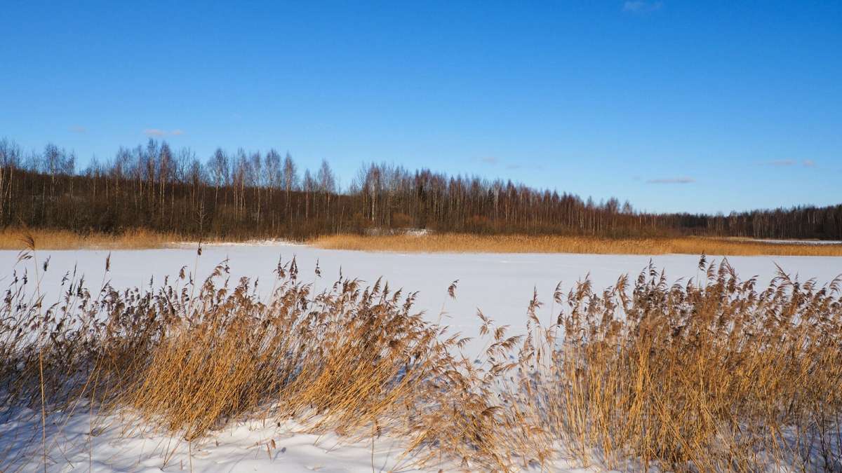 ������ ����� �������� �������� �� PhotoGeek.ru #������ ��� �������