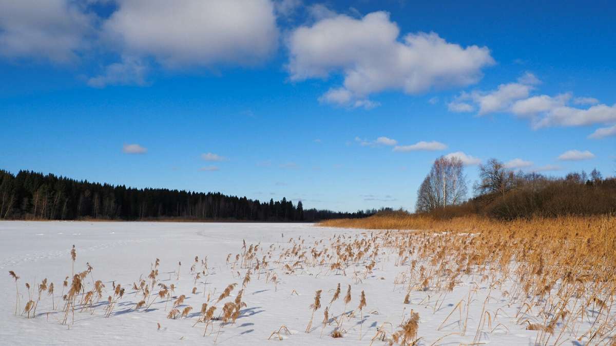 ��� ����. ����� �������� �������� �� PhotoGeek.ru #������ ��� �������