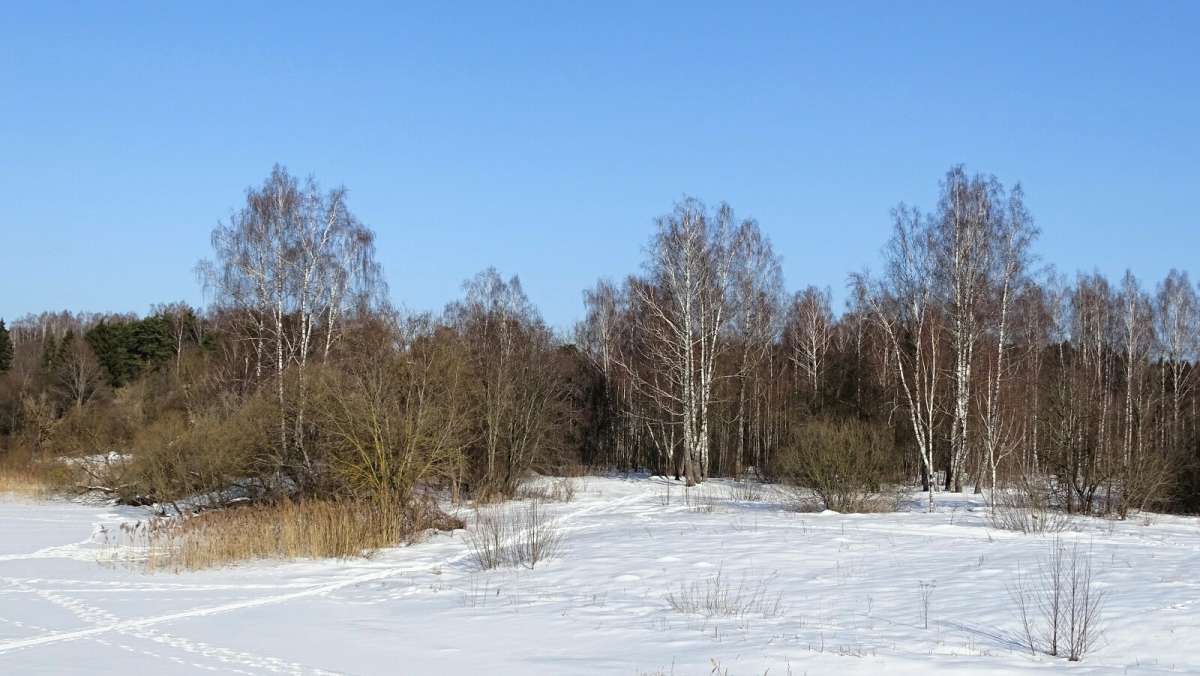 ������� ����� �������� �������� �� PhotoGeek.ru #������ ��� �������