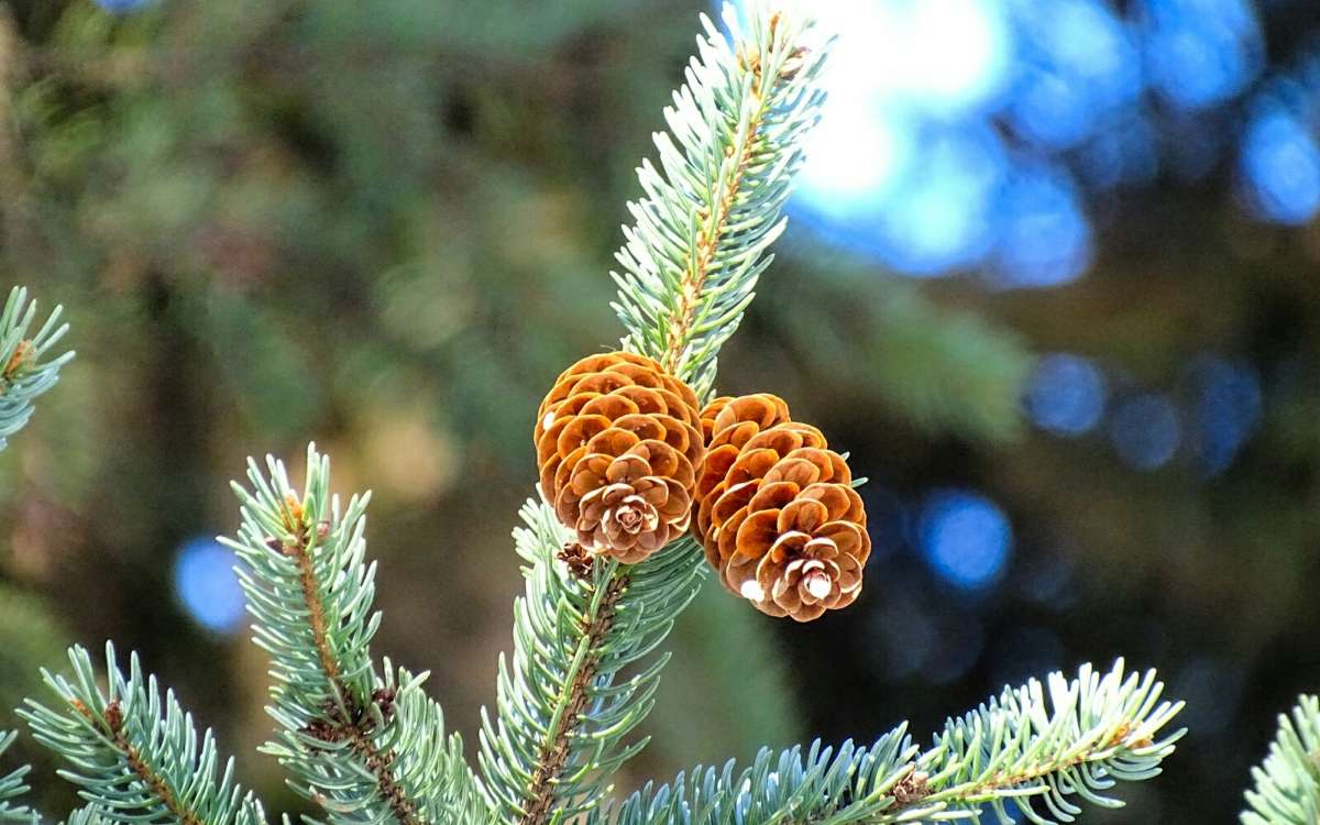 ������ ����� �� ����������. ����� �������� �������� �� PhotoGeek.ru #������ ��� �������