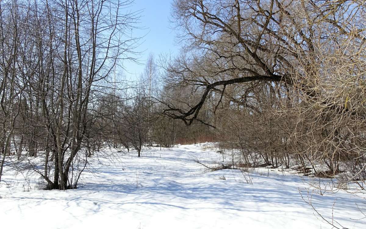 ������ �������� ����. ����� �������� �������� �� PhotoGeek.ru #������ ��� �������