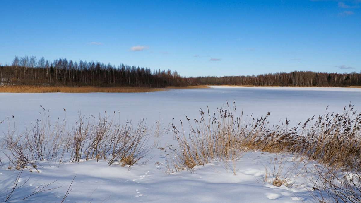 ��� ����. ����� �������� �������� �� PhotoGeek.ru #������ ��� �������