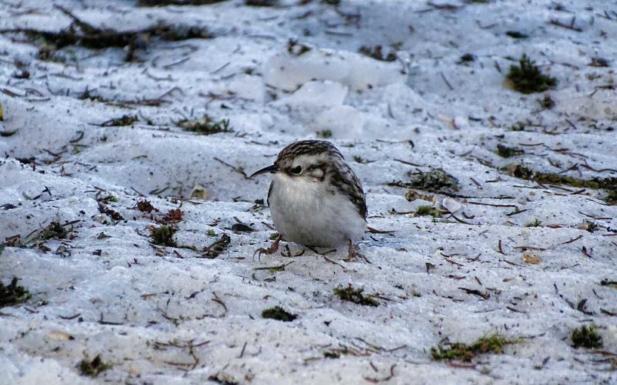 ����� - ������. ����� �������� �������� �� PhotoGeek.ru #����� #�������� ���