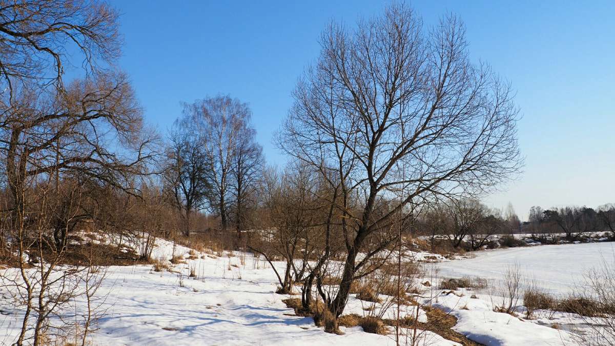 ����� ������. ����� �������� �������� �� PhotoGeek.ru #������ ��� �������