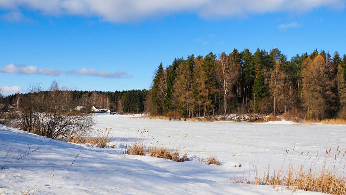 ��� ����������. ����� �������� �������� �� PhotoGeek.ru #������ ��� �������