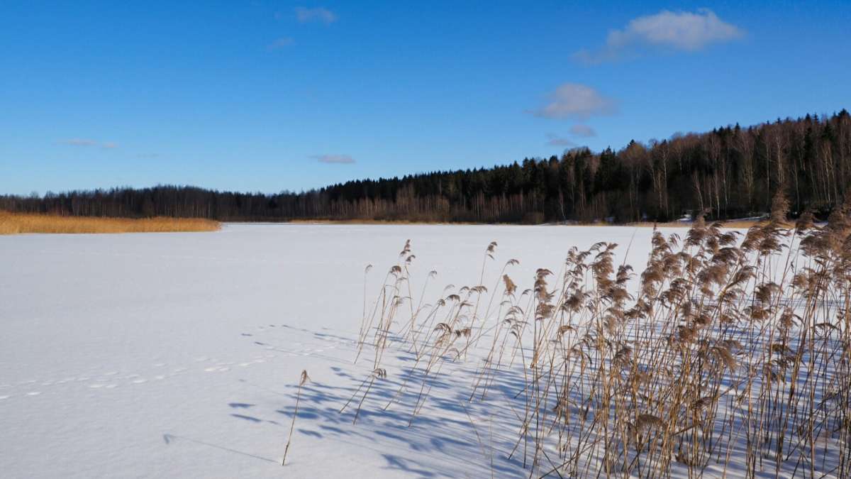 ��� ����������. ����� �������� �������� �� PhotoGeek.ru #������ ��� �������