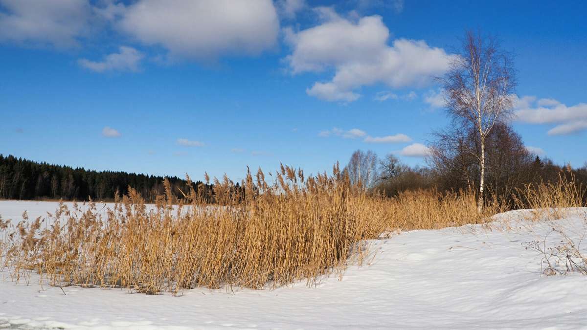 ��� ����������. ����� �������� �������� �� PhotoGeek.ru #������ ��� �������